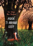 Copertina di Perché ti arrabbi così?