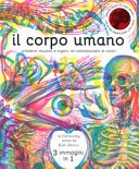 Copertina di Il corpo umano : scheletro